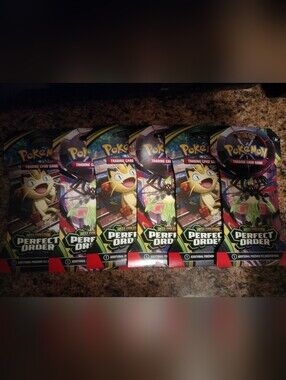 POKEMON PERFECT ORDER BUNDLE 6